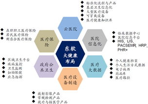 東軟集團 深耕醫療信息化，軟件與系統集成構筑核心支柱